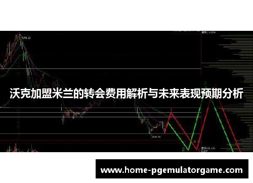 沃克加盟米兰的转会费用解析与未来表现预期分析