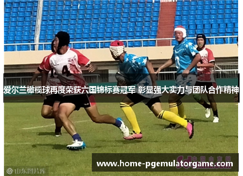 爱尔兰橄榄球再度荣获六国锦标赛冠军 彰显强大实力与团队合作精神